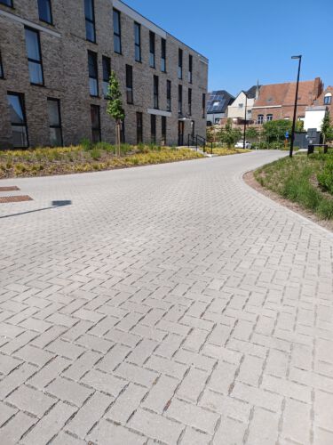 2023 Hamme park kerkwijck 1