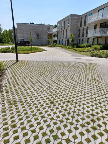 2023 Hamme park kerkwijck 3