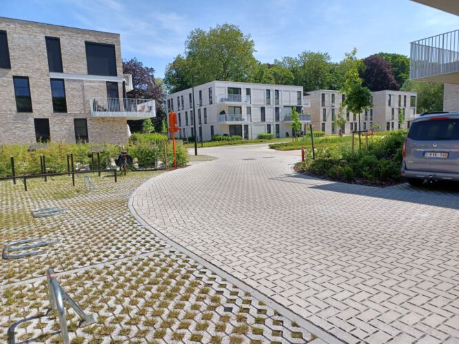 2023 Hamme park kerkwijck 4