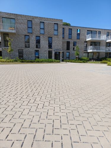 2023 Hamme park kerkwijck 7