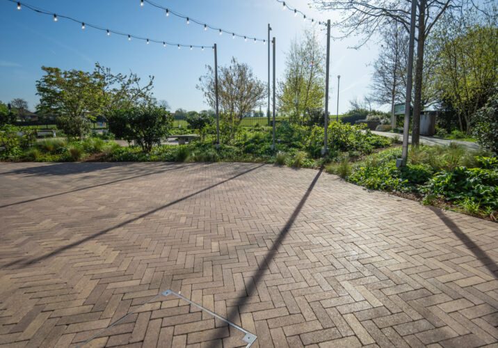 DSC05839 Dx O Deep PRIME 3 topaz sharpen