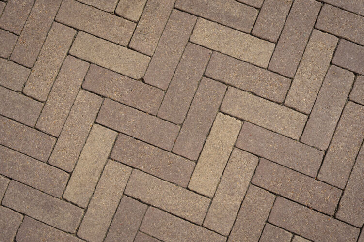 DSC05940 Dx O Deep PRIME 3