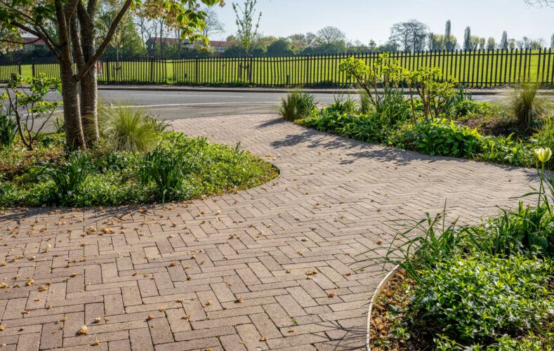 DSC05950 Dx O Deep PRIME 3