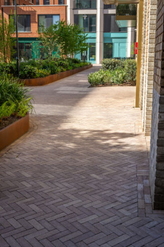 DSC06178 Dx O Deep PRIME 3