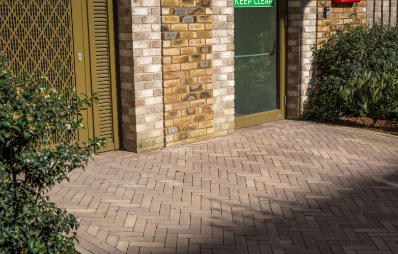 DSC06194 Dx O Deep PRIME 3