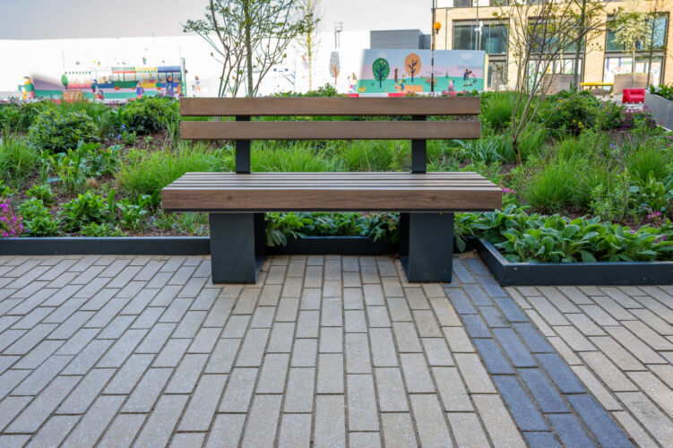 DSC06505 Dx O Deep PRIME 3