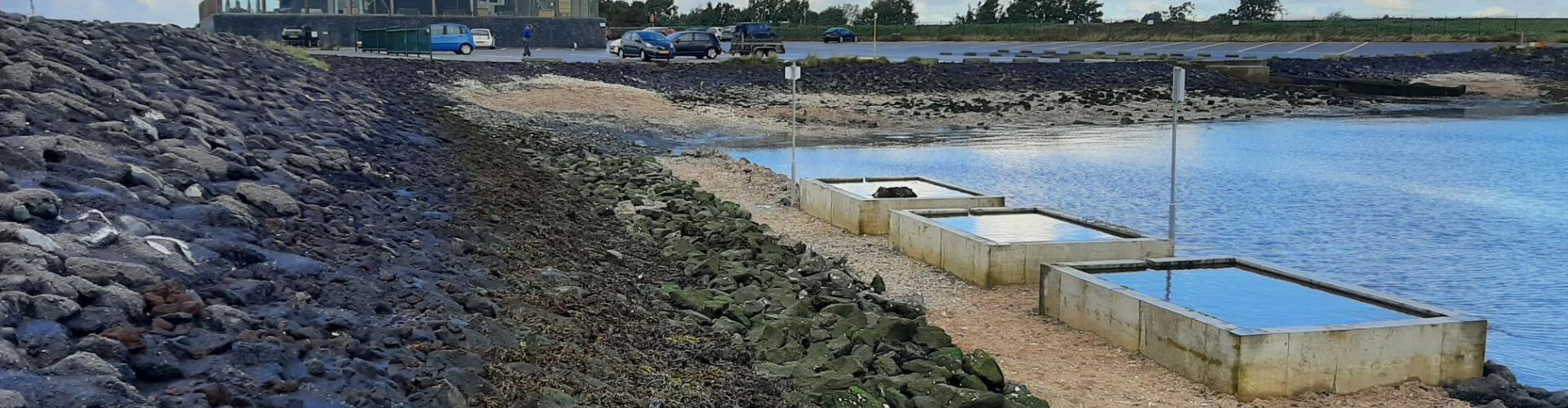 Concrete tidal tanks give Oosterschelde biodiversity a face